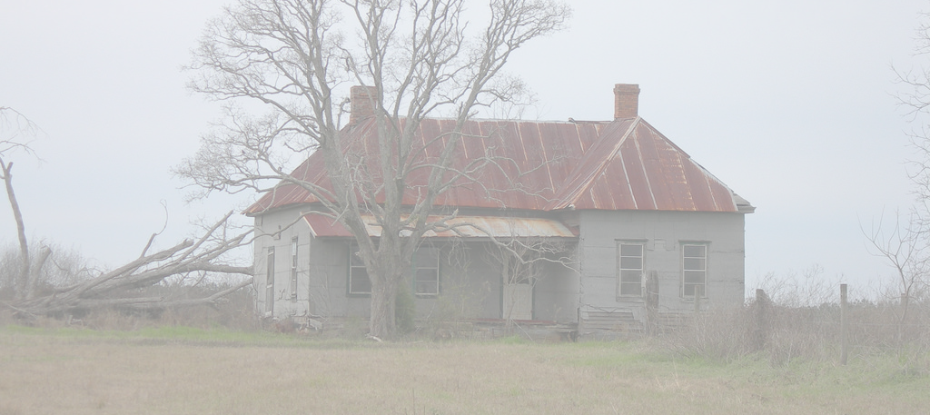 rosa-parks-house-white.png